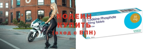 прущие грибы Вяземский