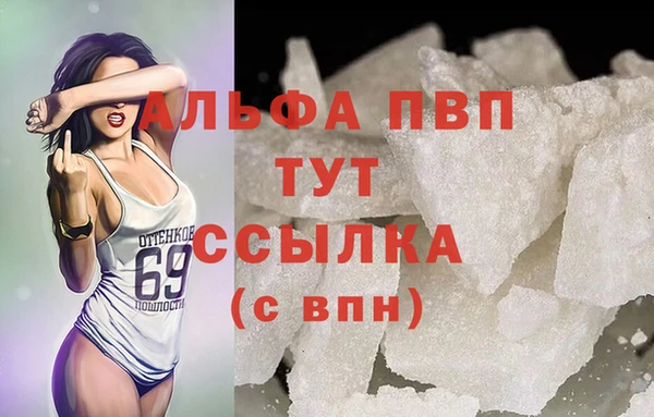 прущие грибы Вяземский