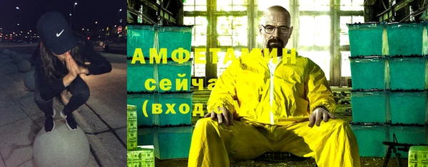 прущие грибы Вяземский