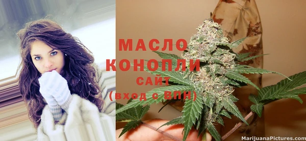 прущие грибы Вяземский