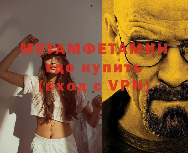 прущие грибы Вяземский