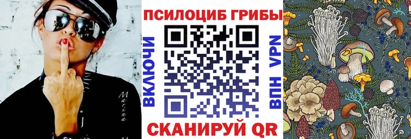 купить наркоту  blacksprut ONION  Псилоцибиновые грибы Psilocybine cubensis  Чита 